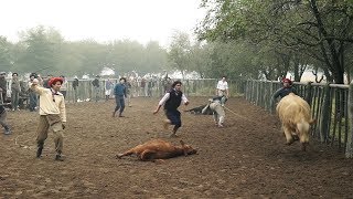 11 Estancias y Tradiciones Capitulo Estancia El Maycá la yerra [upl. by Arlo]