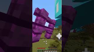 Protecting Villager vs Luck 3322 Moment meme shorts minecraft [upl. by Urdna]