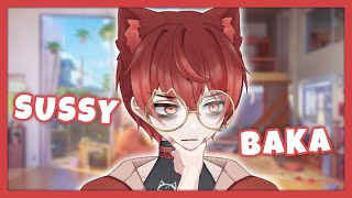 Femboy VTuber reads Chats SUSSY questions😭 [upl. by Cupo]