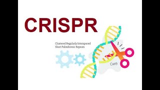 CRISPR  Clustered Regularly Interspaced Short Palindromic Repeats 2024 [upl. by Innos]