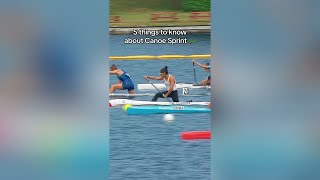 Now we’re ready for canoe sprint 🔥 All you need to know [upl. by Letney]