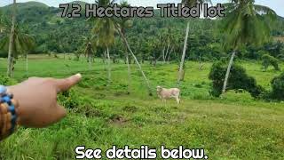 flat titled lot  farm Agricultural lot in Cebu South Philippines [upl. by Imyaj]