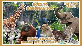 RAGUNAN KEBUN BINATANG  REVIEW TERBARU RAGUNAN ZOO 2022  WISATA JAKARTA MURAH DAN SERU [upl. by Shanna]