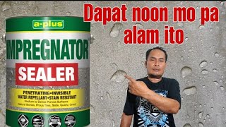 PARA SAAN GINAGAMIT ANG IMPREGNATOR SEALER bestvarnishpaintsideasandtechniques [upl. by Lecrad]