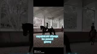 Horse edit 🐎🐎🐎 starstableonly music edit horse starstableonlinehorses sso [upl. by Spence]