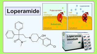 loperamide [upl. by Namie]