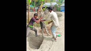 8  বাংলা ফানি ভিডিও । নাটকfuunyvairalbdemonmiya50comedybdemonmiya100 [upl. by Zarah]