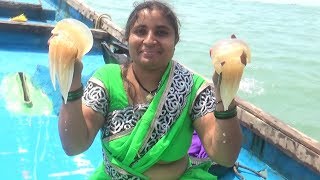 Village Foods Amazing Live Jelly Fish Catching In Ocean And South Indian Style Cooking My Village [upl. by Ned738]