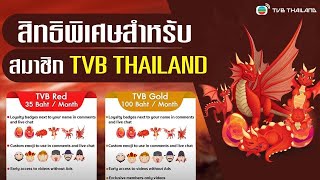 สมัคร TVB MEMBERSHIP เเล้วได้อะไรบ้าง   TVB Thailand [upl. by Nyletac978]