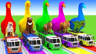 5 Giant Duck CartoonCowElephantTigerLionDinosaurPaint Wild Animals Crossing Fountain Animation [upl. by Nylireg]