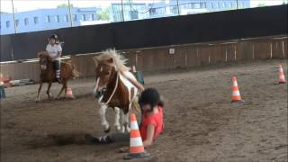 Minibêtisier equestre l Les derniers ratés du poney club de Villedieu [upl. by Stasny]