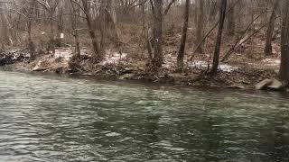 Winter fishing caught a big brown trout Bushkill creek pa [upl. by Lauro]