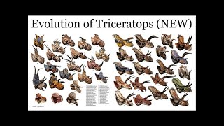 Ceratopsian family tree [upl. by Bryce]