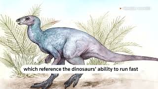 Scientists discover new dinosaur in Argentina  REUTERS [upl. by Hametaf]