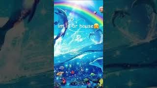 I JS WANNA BE PART OF UR SYMPHONYYY🐬🌈✨ music symphony funny trend dolphin [upl. by Joachim]