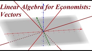 Linear Algebra for Economists  Vectors and Vector Operations [upl. by Kcirdla]