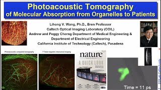 Photoacoustic Tomography of Molecular Absorption from Organelles to Patients  Prof Lihing V Wang [upl. by Irami]