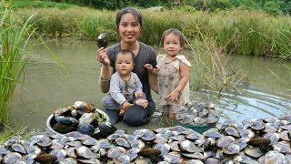 How to harvest giant oysters to sell at the market  cook oyster porridge for your children to eat [upl. by Adnylg]