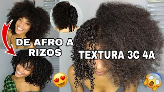 COMO DEFINIR EL CABELLO AFRO RIZADO TEXTURA 3C 4A  DEFINICIÓN DE RIZOS EN AFRO 😱 Rachell Santos [upl. by Tobin]