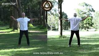 Larry Friedberg Taijisydney Exercise 2  Song Gong 2 [upl. by Nalid]