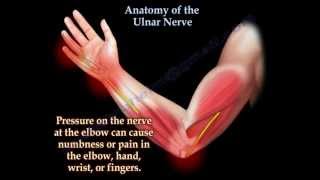 Anatomy Of The Ulnar Nerve  Everything You Need To Know  Dr Nabil Ebraheim [upl. by Forrer693]