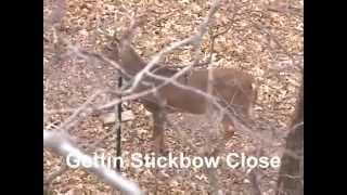 Traditional Bow Hunt Whitetails Black Widow Bows Recurve Shot compilation [upl. by Meadow662]