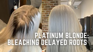 White blonde transformation How to bleach long roots safely to platinum [upl. by Kaz241]