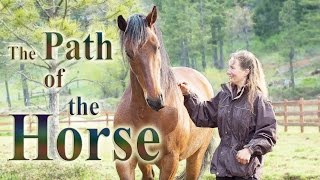 The Path of the Horse  Full Length documentary [upl. by Tristan999]