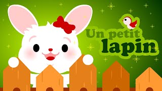 Le petit lapin 🐇 Cherchez moi coucou coucou comptines pour bébé avec paroles [upl. by Notsirt461]