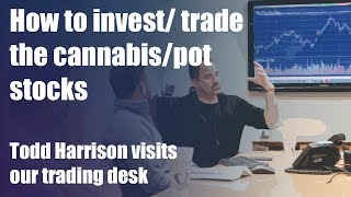 How to investtrade the cannabispot stocks Todd Harrison visits our trading desk [upl. by Eldoria]