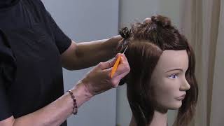 Hair Color  Sectioning for long hair anything past the chin [upl. by Blas]