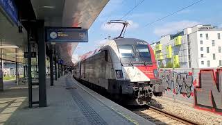 Wien Stadlau SBahn Wien S80 train nr 25031 REX 1 train Wiener Neustadt Břeclav [upl. by Nob]