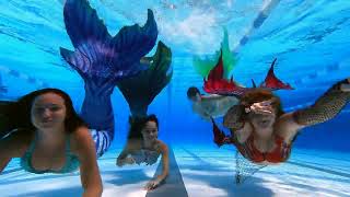 MK SWIM WITH MERFAMILY  Real Life Mermaids [upl. by Notsyrb]