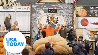 Massive pumpkins take center stage at Half Moon Bay Pumpkin weighoff  USA TODAY [upl. by Cristie]