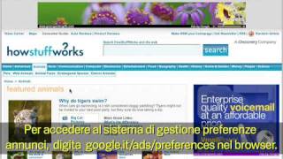 Google e la Privacy Pubblicità basata sugli interessi [upl. by Suzzy]