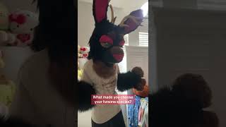 Me Jackalopes are my favorite cryptid and they represent me perfectly furry jackalope fursuit [upl. by Einnod]