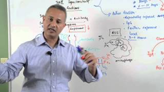 Immunology lecture 15  Type III Hypersensitivity Reactions 56 [upl. by Riatsila]