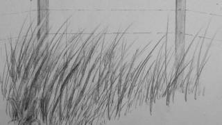 How to Draw Realistic Tall Grass [upl. by Okkin]