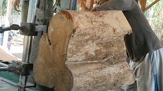 extreme and dangerous sawing the shortest wood in history at the sawmill [upl. by Shriver]