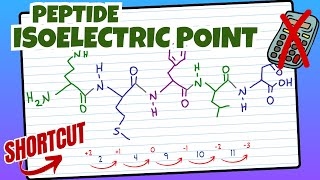 Peptide Isoelectric Point with pI Shortcut [upl. by Fianna400]