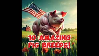 Top 10 Farm Pig Breeds Around the World usa pigbreeds viral shorts [upl. by Enileuqcaj]