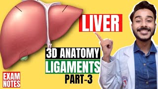 liver ligaments anatomy 3d  ligaments of liver anatomy in hindi  Johari MBBS [upl. by Magdalen]