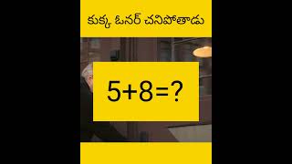 E kukka owner tho chala manchiga untundhi facts telugu amazingfacts [upl. by Idas]