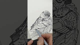 sharpie art easy stepbystep draw drawdaily [upl. by Eitsim]