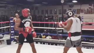 Shannon Briggs Still Got It Knocks Down Sparring Partner LOOKING GREAT I [upl. by Phippen]