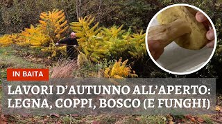 Weekend autunnale rilassante nel bosco della baita faccio ordine allesterno Ep 65 [upl. by Pope697]