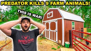 Predator ATTACKS My BACKYARD Farm and KILLS 9 Animals in 1 NIGHT THIS IS WAR [upl. by Munt265]