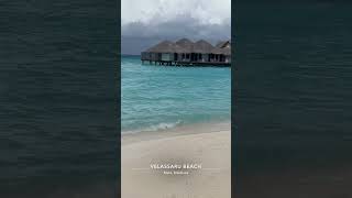 amazing maldives Maldives Velassaru resort المالديف منتج فيلاسارو [upl. by Tteragram]