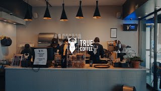 True Coffee Colon Cinematic  Lite visuals [upl. by Enialb]