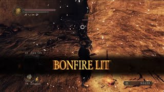 How to get to the Bonfire Next to Ornifex  DS2 SOTFS [upl. by Ammeg927]